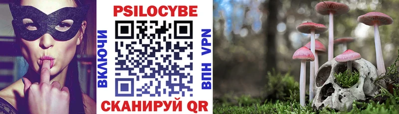 omg tor  закладка  Белый  Галлюциногенные грибы прущие грибы 