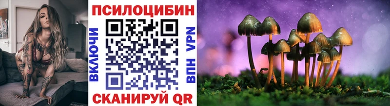 Псилоцибиновые грибы Psilocybe Белый